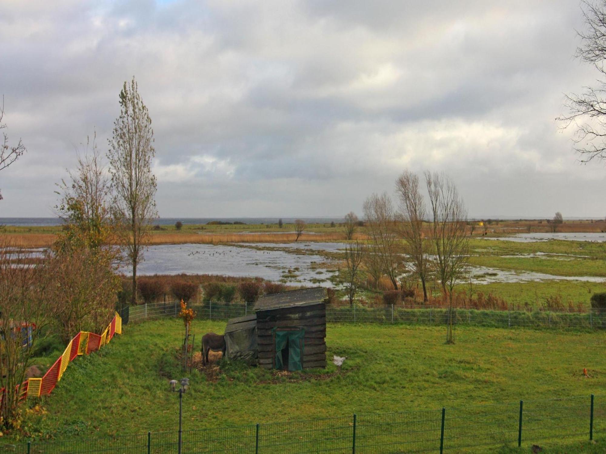 Holiday Complex Schuldt, Behrensdorf 外观 照片